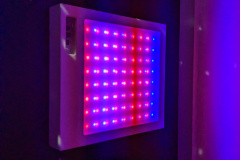 Light panel in Sensory Room